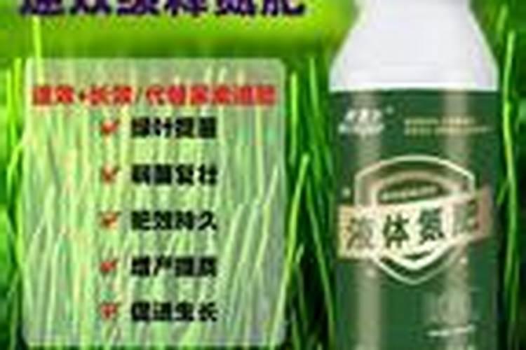 一亩地玉米究竟要施多少化肥