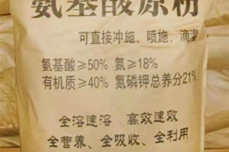 兰花土用多长时间要换 兰花土用多久要换