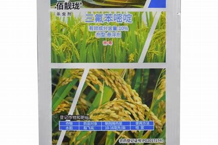 西瓜缺镁,怎么补充？