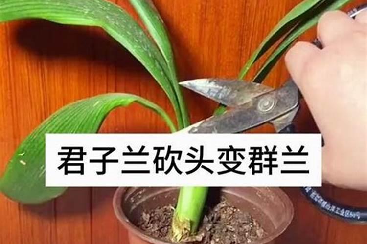 2022年化肥如何选择最好!