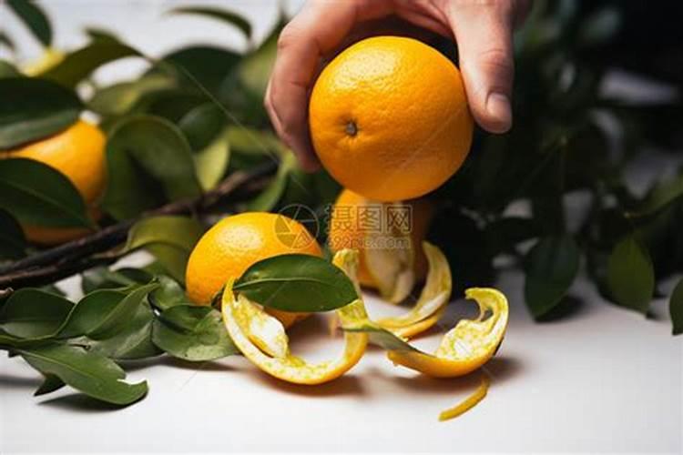 饼肥能与柳树枝泡水混用吗？