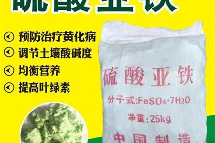 刚买回来的芍药根块怎么种