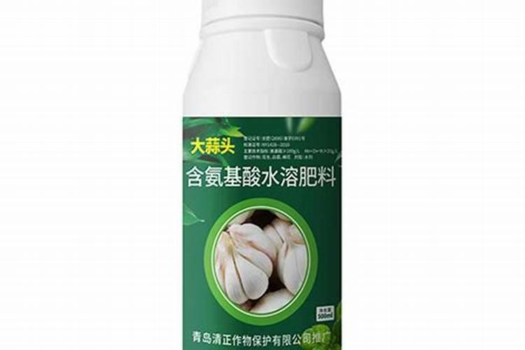 大蒜后期管理和施肥