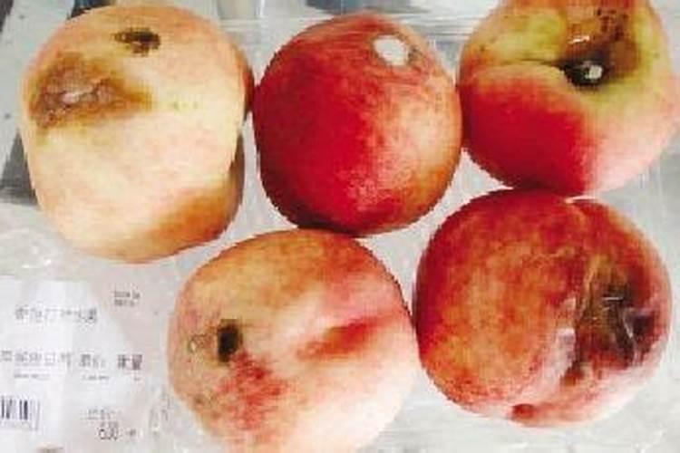 桃树的叶面肥有哪些