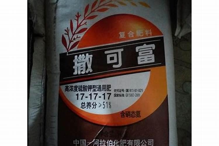 油茶果树管理技术