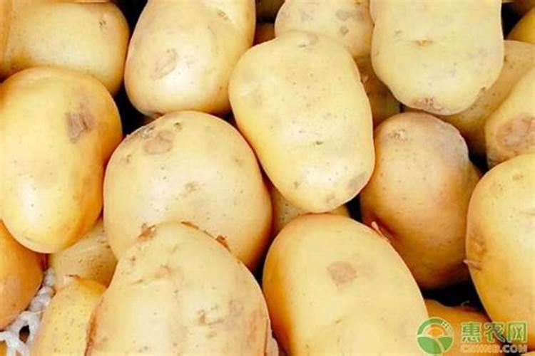 土豆浇什么肥料合适