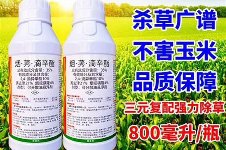 芸苔素内酯怎么兑水