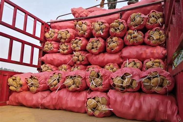 土豆专用肥 价格
