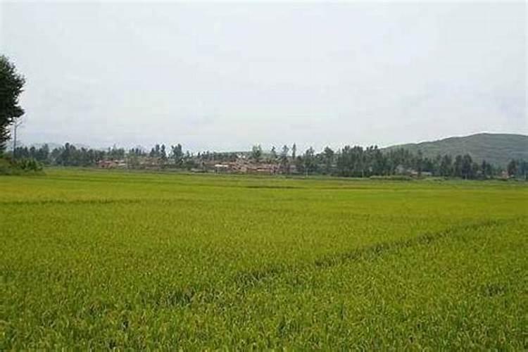 黄腐酸钾20%中含钾多少