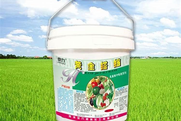 种植平菇米糠能代替麸皮吗