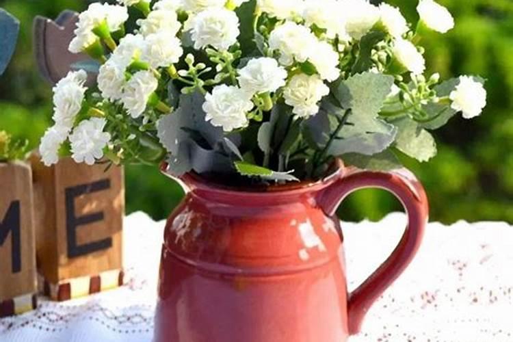 硼酸冬天用作养花促根须发达行不