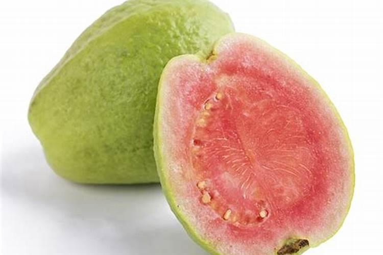 番石榴施什么肥最甜