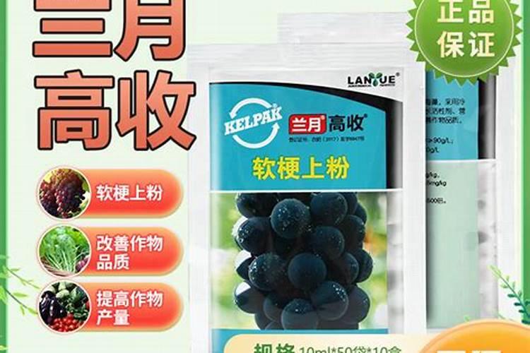 柠檬在种植过程中需要喷洒农药吗？