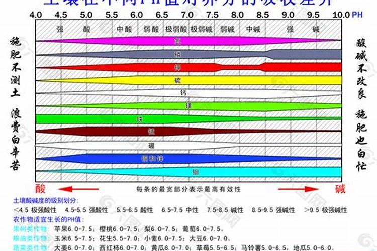 什么花用芝麻饼肥