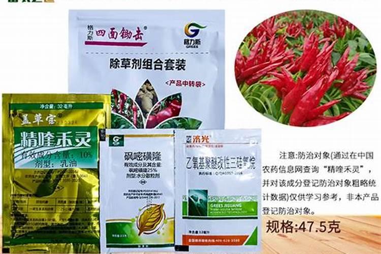 打什么辣椒红的快一点