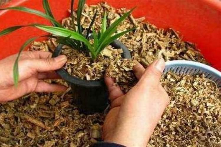 要怎样发酵木屑才能将其变为肥料呢