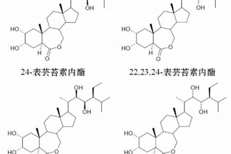 芸苔素内脂,怎样辩别真伪？