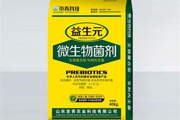 黄瓜在什么时间浇水最好