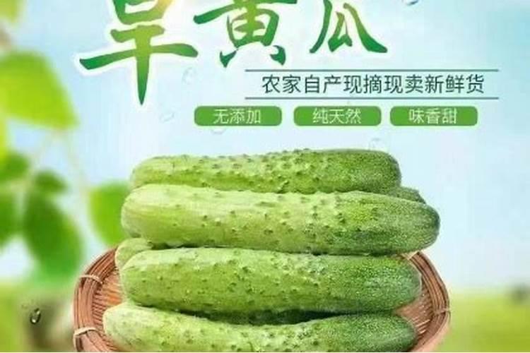 种植反季节蔬菜挣钱吗？