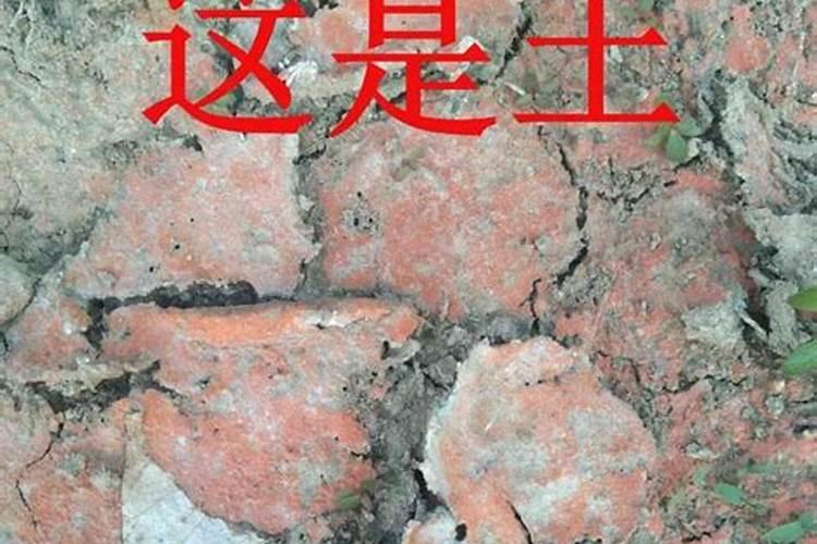 硼肥喷施过量怎么缓解？