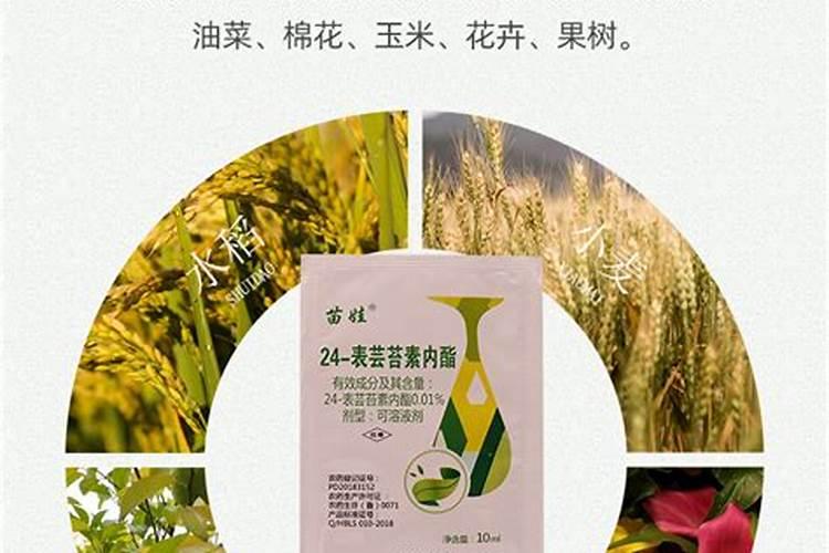 芸苔素的作用和使用方法