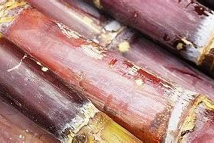 甘蔗几月份停止施肥