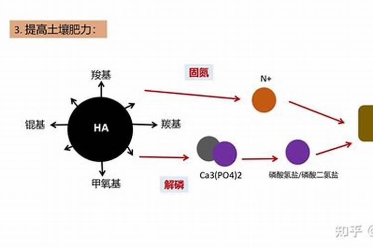 腐植酸钾作用与功效