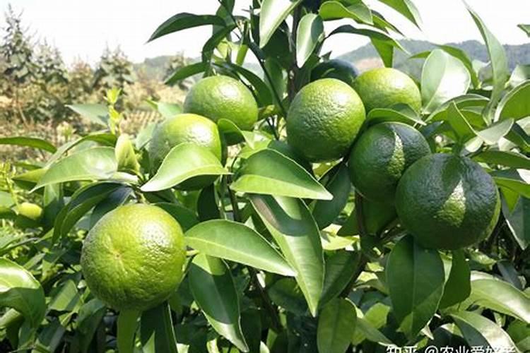 说说沼气所具有的十大危害是什么