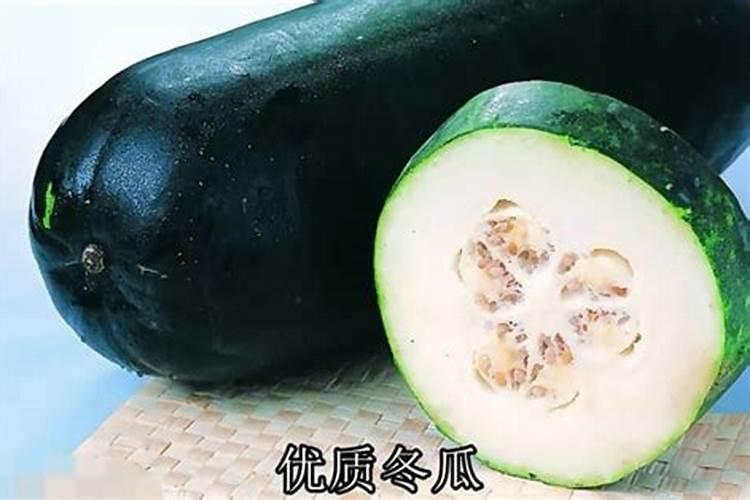 冬瓜苗南瓜苗能天天浇水吗