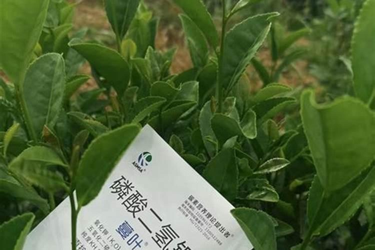 肥料商标属于多少类商标