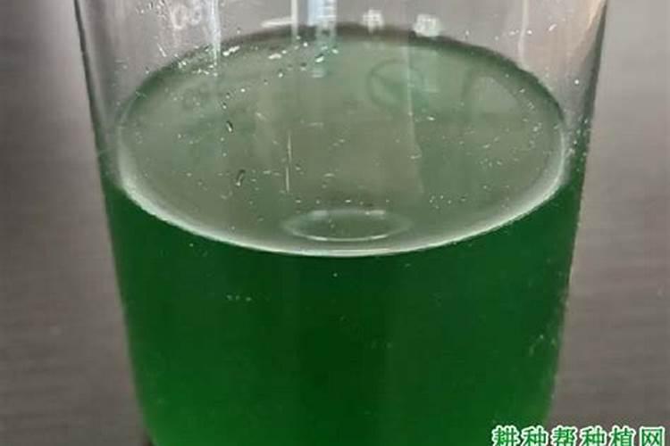 纹美瞳线后如何正确护理？