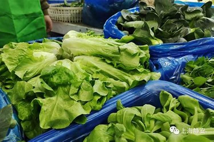 放什么肥料蔬菜才好吃