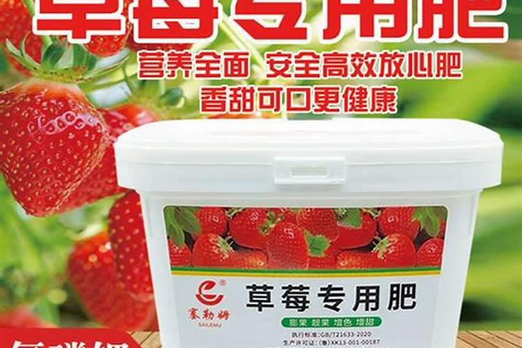 草莓施什么肥才甜？什么时候施肥合适？
