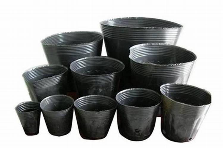 黑龙江省第三积温带西部地区玉米高产栽培氮磷钾的施肥比例是多少？