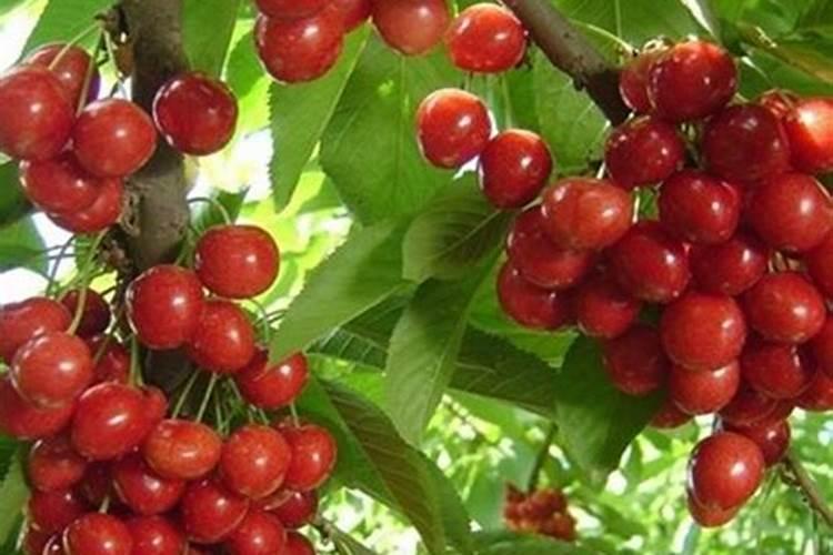 南京现代长城皮肤病研究所南京现代长城皮肤病研究所 医院设备