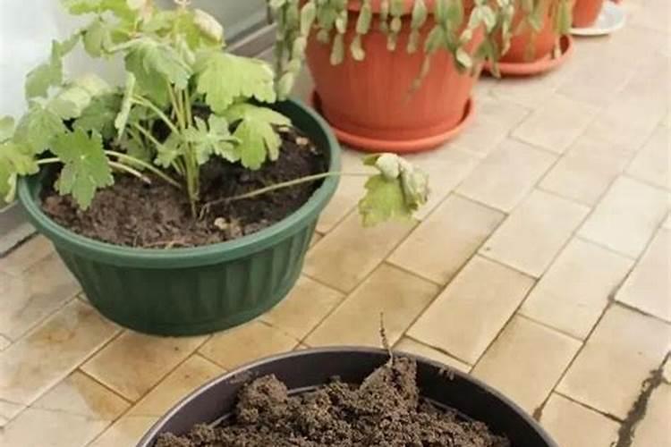 辣椒初花期每亩滴二公斤半高钾肥合适吗