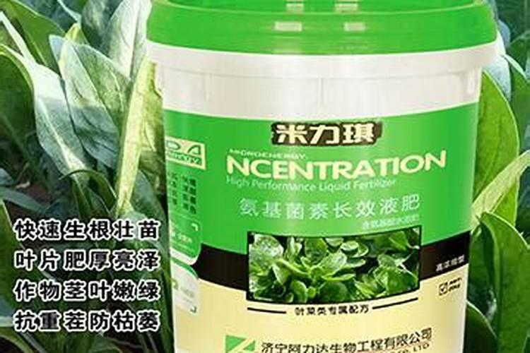 请问花盆里的土太湿怎么办？