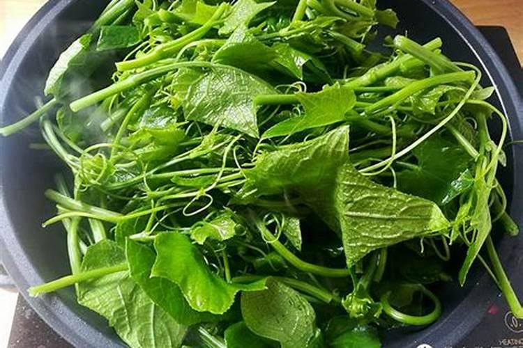 确定生吃苦瓜能减肥吗