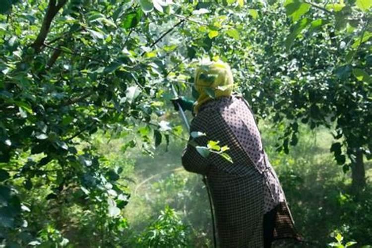 氮肥钾肥施肥时间和方法分别是 氮肥钾肥施肥时间和方法