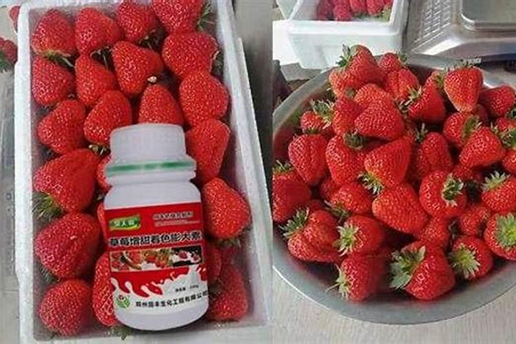 草莓专用废可以用于其他作物吗