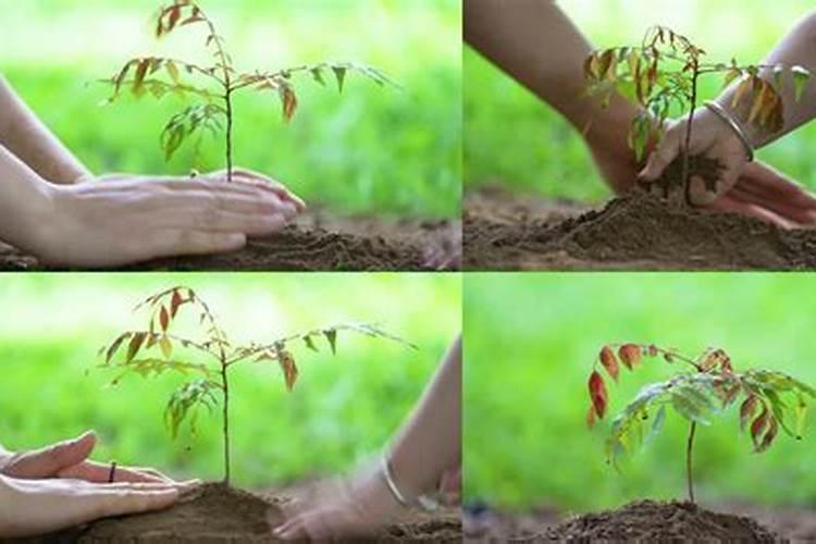 ...增强农作物的抗寒、抗旱能力应施加的化肥种类是