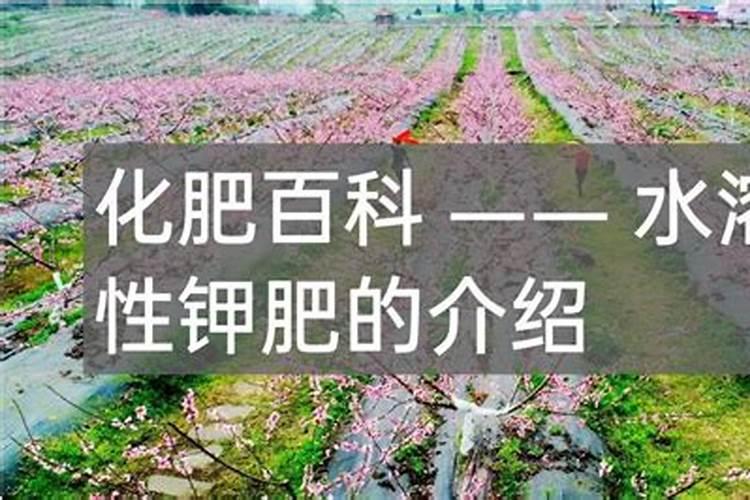 自制水溶肥配方比例