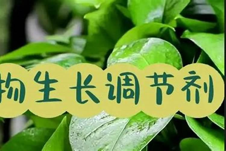 植物调节剂属于农药吗
