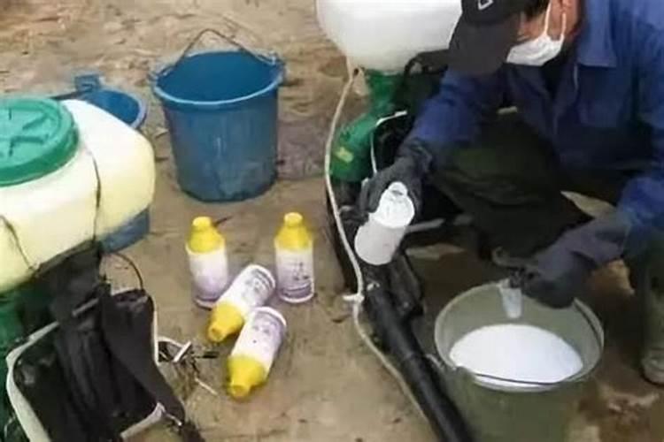 纯氮肥和氯氰毒死蜱能混用吗？