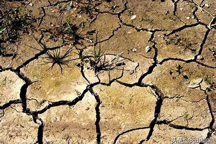 土地使用化肥会造成大气污染吗