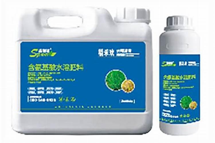 新洋农场的魅 力新洋