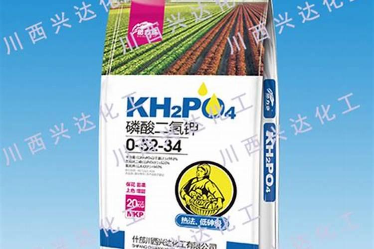 火龙果几天浇一次水