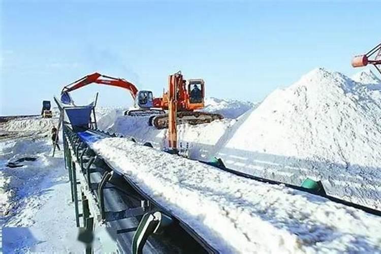 火龙果怎么浇水 天天浇水还是隔几天浇