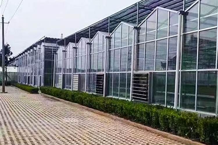 寿光有个威力马水溶肥,看不少种植户都在用,效果到底怎么样？价格这么高...