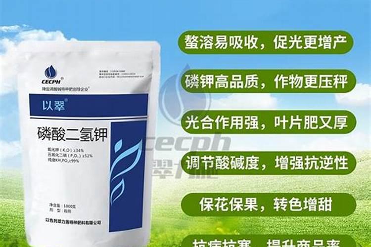 无花果掉果的原因怎样解决